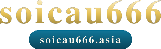 soicau666 logo